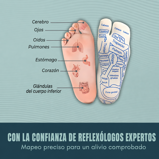 Revifoot™ Calcetines de reflexología